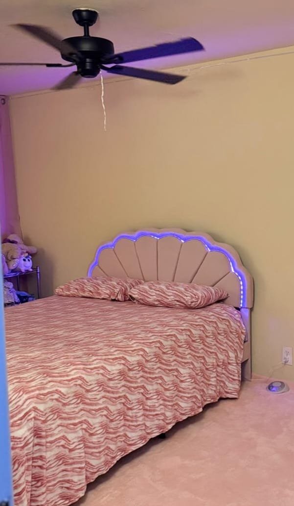 WhatsApp Image 2025-12-29 at 4.44.37 AM